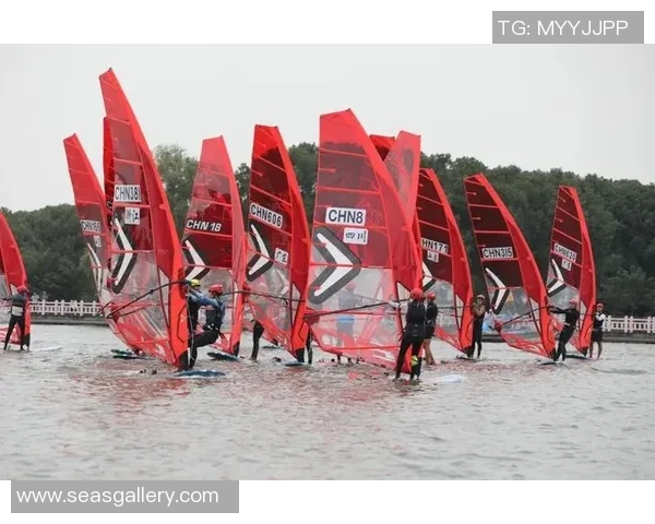 帆板积分赛最新排名揭晓各选手表现精彩纷呈竞争激烈 帆板积分赛最新排名揭晓各选手表现精彩纷呈竞争激烈