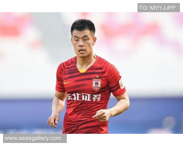 武汉三镇vs广州队谭龙