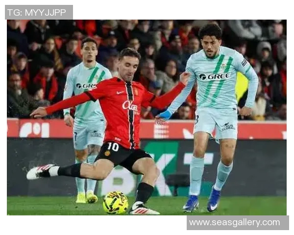 马竞逆转巴列卡诺，卡拉斯科绝杀助球队收获关键三分